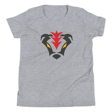 Load image into Gallery viewer, BADGER ICON YOUTH GREY TEE
